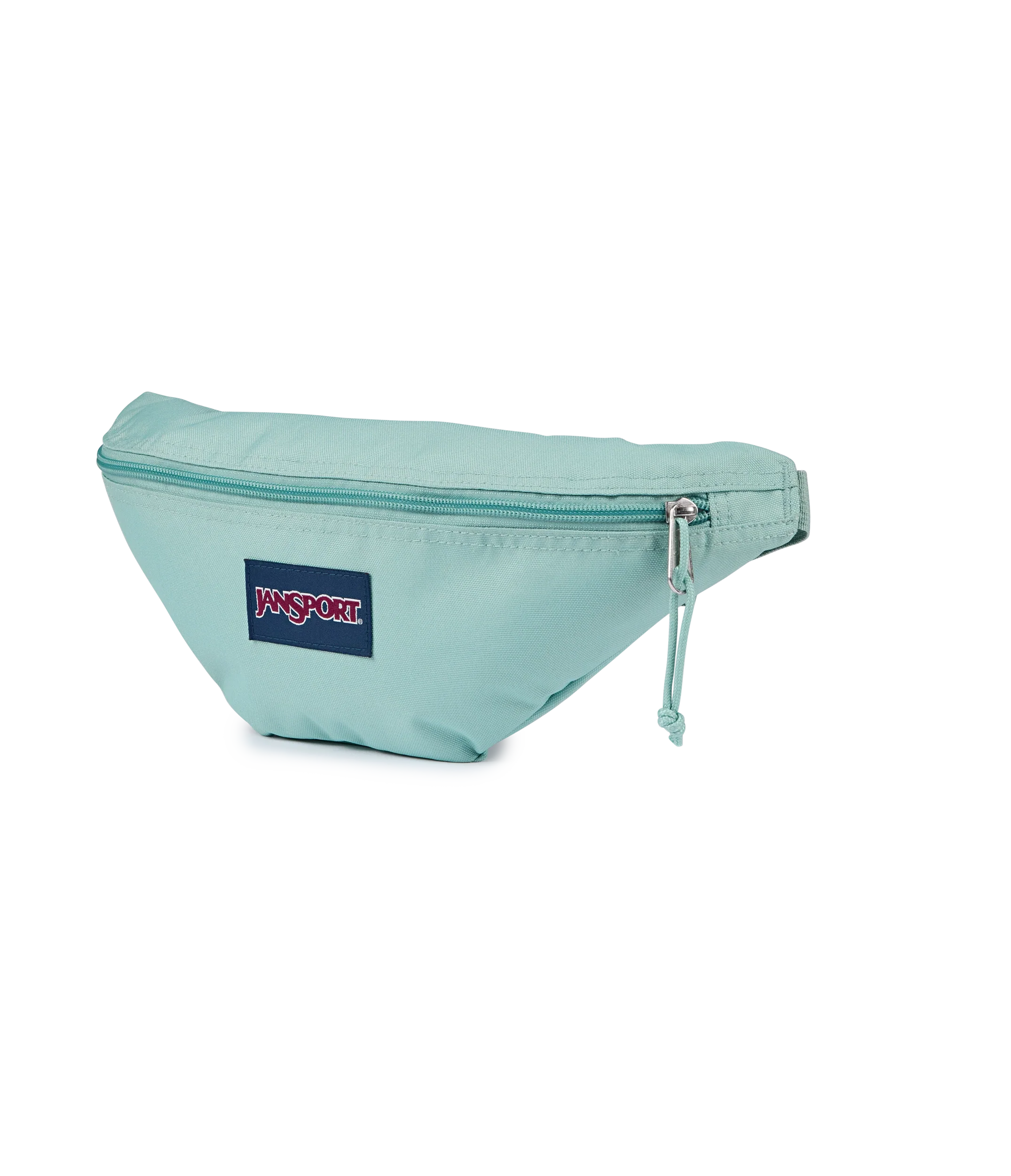 Swing Waistpack